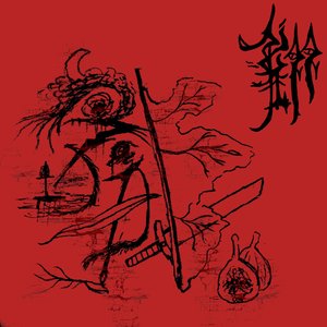 皮毛