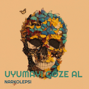 Uyumayı Göze Al