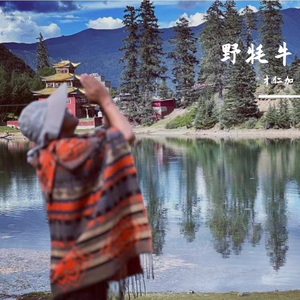 野牦牛 小样