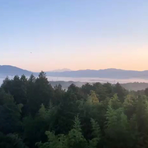 情けは人の為ならず