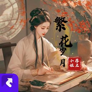 繁花岁月 (DJ版)