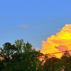 UNTITLED37