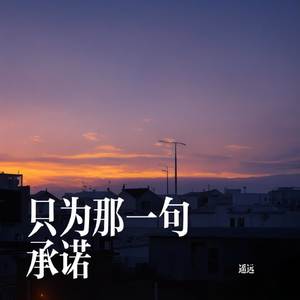 只为那一句承诺