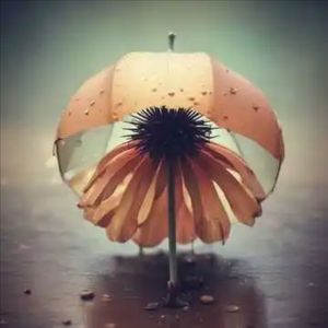 说好不见面 (伤感版)