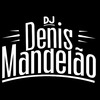 DJ Denis Mandelão - ARROCHA SOLTA O PONTO