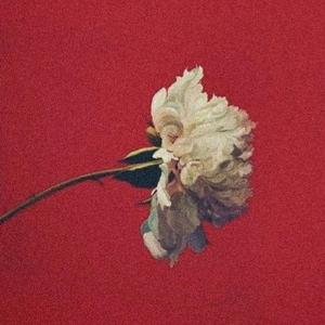 Desprezado (Remastered 2024)