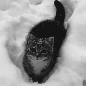 《你出现在我的世界》