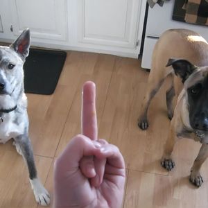 不配我买个beat（Prod.by赖建宜）