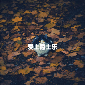 Vivacious Son Montuno Trumpet - Vibe for Midnight Journeys