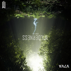 Wilderness (V7VA remix)