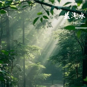 盐汽水