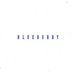 BLUEBERRY (feat. wtfmax)