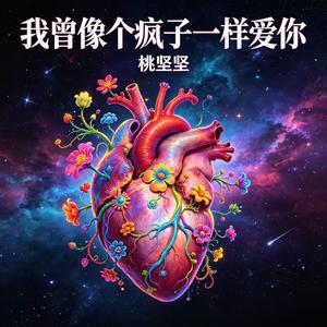 我曾像个疯子一样爱你