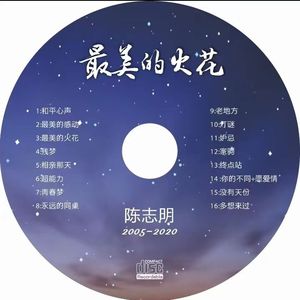 陈志明 - 最美的感动