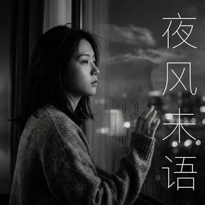 夜风未语