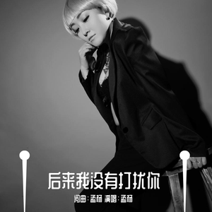 后来我没有打扰你