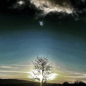 R. Schumann: Märchenbilder, Op.113: IV. Langsam, Mit Melancholischem Ausdruck