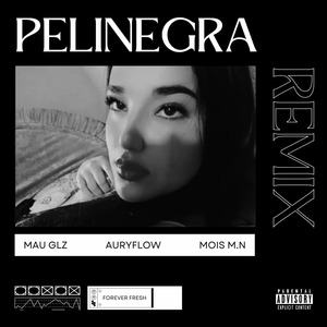 Pelinegra (Remix) Vers. Maqueta