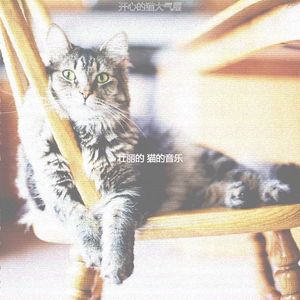 抚慰的压力大的猫回忆