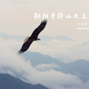 Soaring Over Mountains