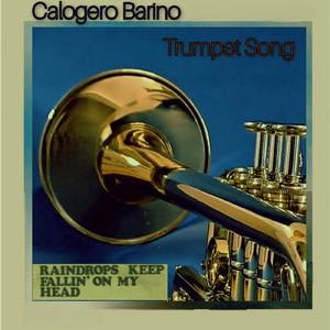 Raindrops Falling on My Head