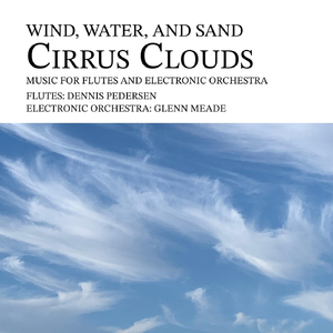 Feathers in the Wind