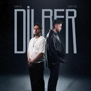 Dilber
