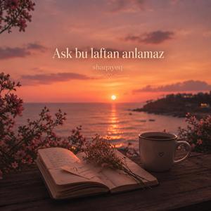 Aşk bu laftan anlamaz