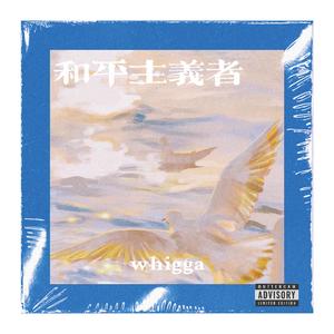 疫情请你快滚出地球（PROD BY 金桔0RANG3）