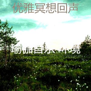 微妙的正念心情