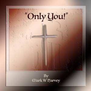 In the Groove (Instrumental)