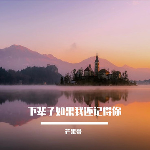 下辈子如果我还记得你