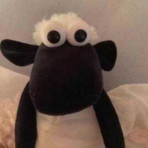 勇敢的骑士（无和弦且不完整）_20220427_203753