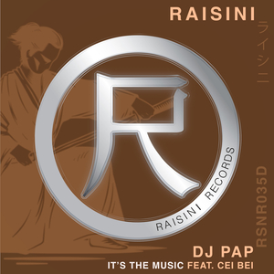 Its the Music (DJ Pap Grit & Groove Instrumental Mix)