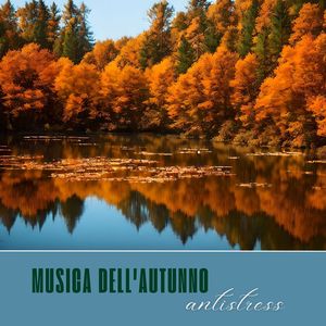 Giochi di luce tra foglie cadenti