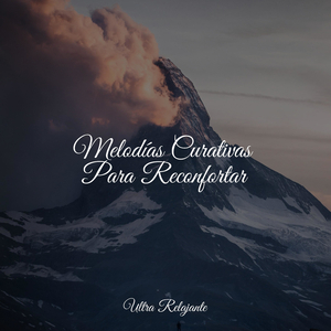 Viento a Través De Los Árboles