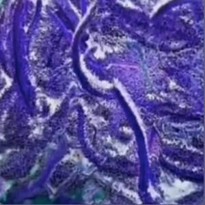 On my mind cells