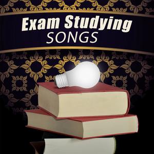 Cello Suite No. 1 in G major, BWV 1007: I. Prelude (Basson Version)