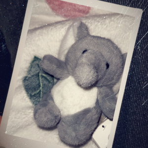 褪色是你的愛在变浅(¬_¬)