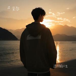 不甘的两年