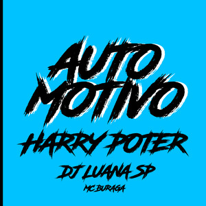 Automotivo Harry Poter