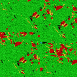 Primary Installation