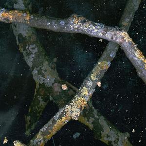 Край (feat. Saåad)