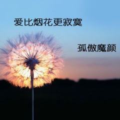 爱比烟花更寂寞