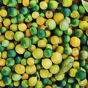 Solution Ablutomania