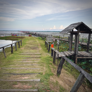 จอมปลอม