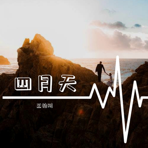 紫蝶飞
