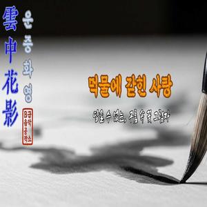 운중화영 (雲中花影)