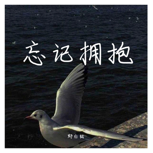 忘记拥抱