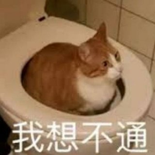 纯音杂食党，每首都有新鲜感（四）